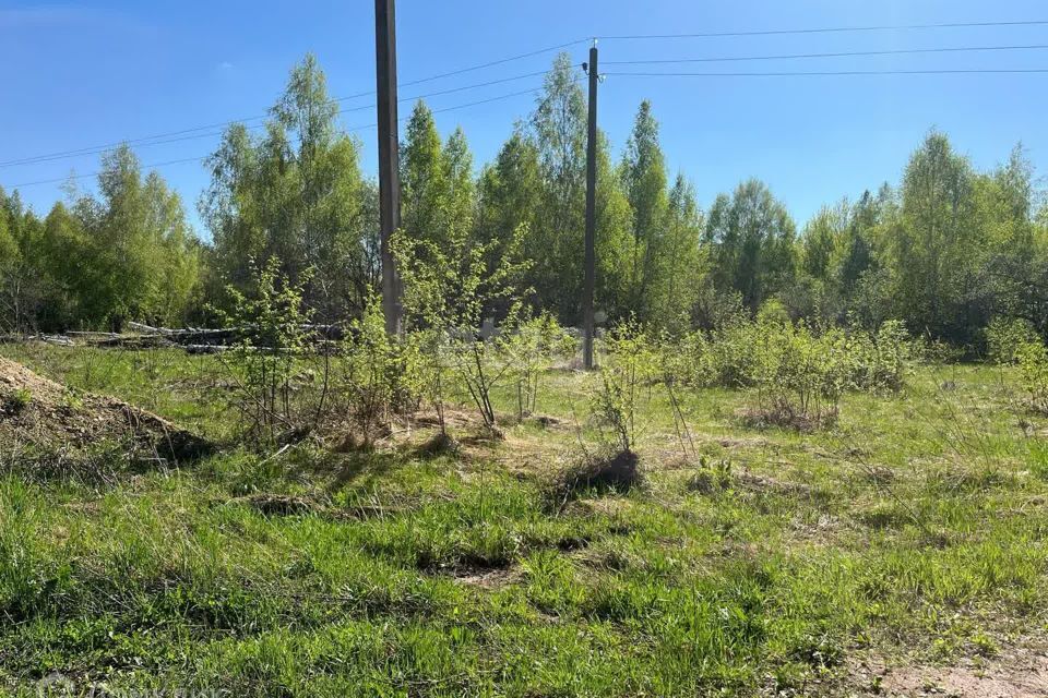 земля р-н Богородский сельский посёлок Центральный фото 1