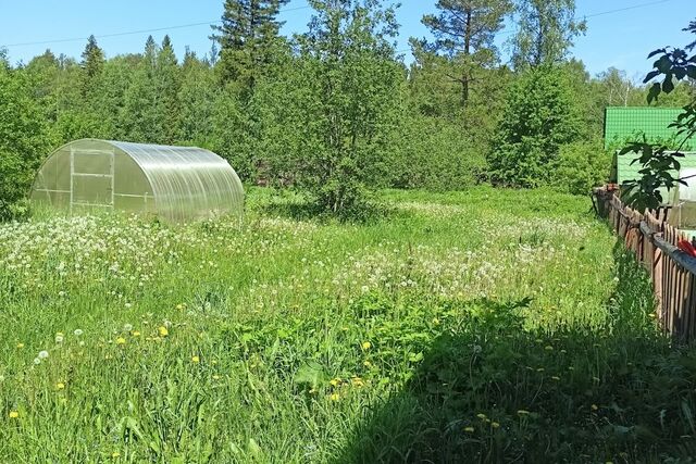 городской округ Первоуральск, садоводческое товарищество № 69 АО Новотрубный Завод фото