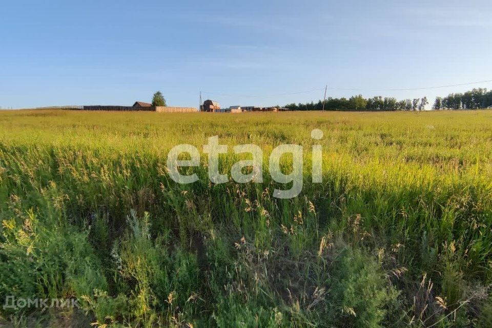 земля р-н Емельяновский посёлок городского типа Емельяново фото 3