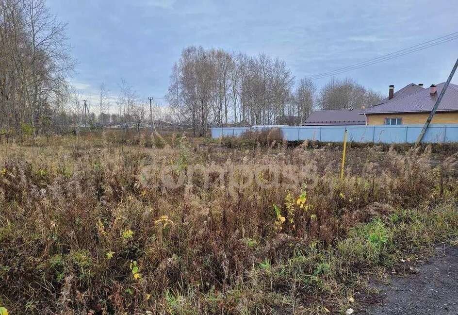 земля р-н Тюменский с Луговое ул Плодовая Тюмень фото 2