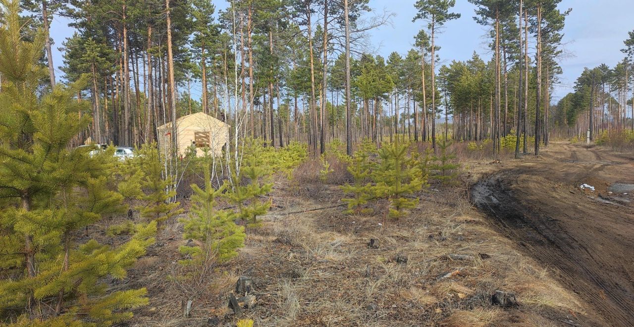 земля р-н Читинский с Смоленка мкр-н Благодатный фото 3