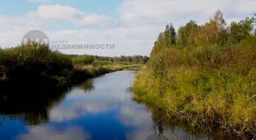 земля р-н Всеволожский д Лепсари Романовское с/пос, 19 фото 7