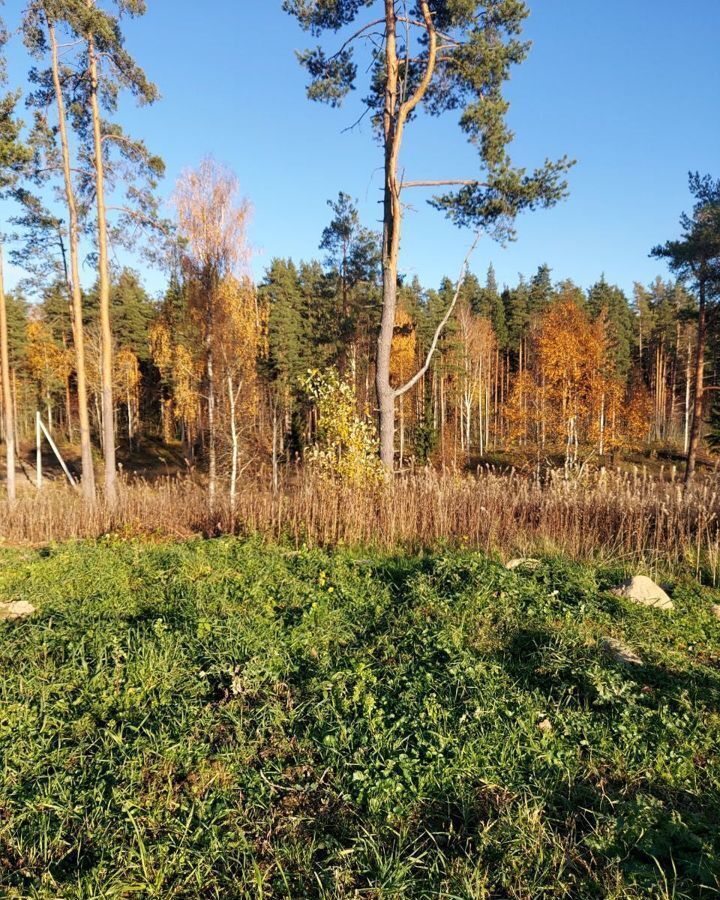 земля р-н Приозерский п Сосново Сосновское сельское поселение, Равнинское озеро фото 3