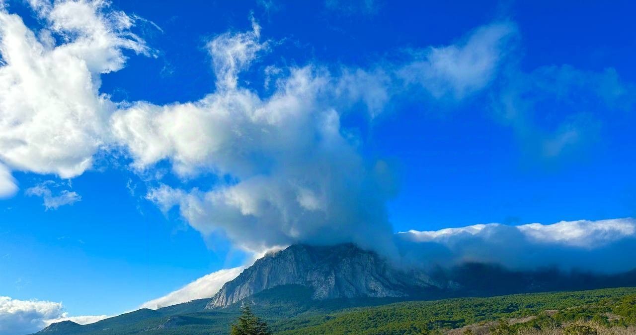 дом г Ялта пгт Гаспра ул Горького 24е фото 5