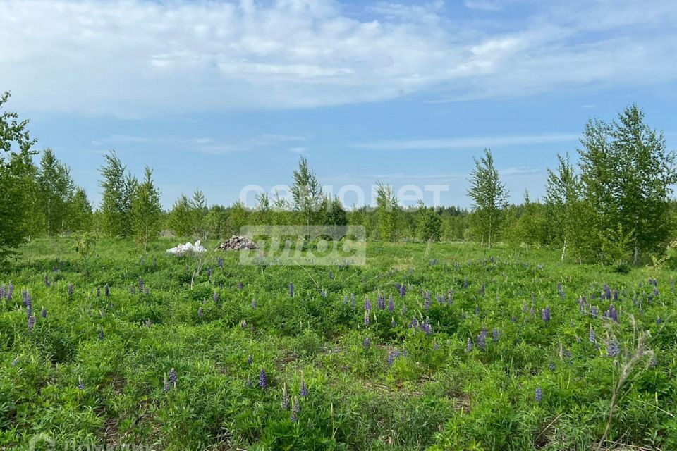 земля г Бор городской округ Бор, микрорайон Шерстнево Поле фото 3