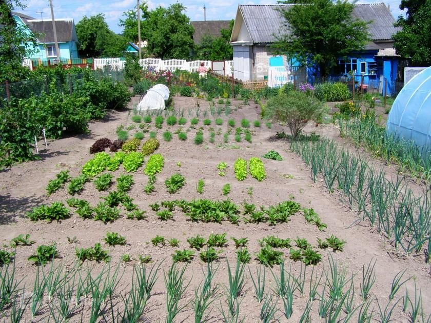 дом р-н Белозерский с Боровлянка ул Советская фото 2