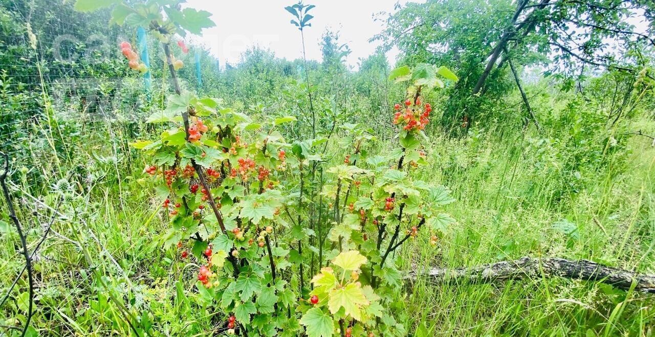 земля р-н Уфимский снт Связист 2 сельсовет, 309В, Уфа, Булгаковский фото 9