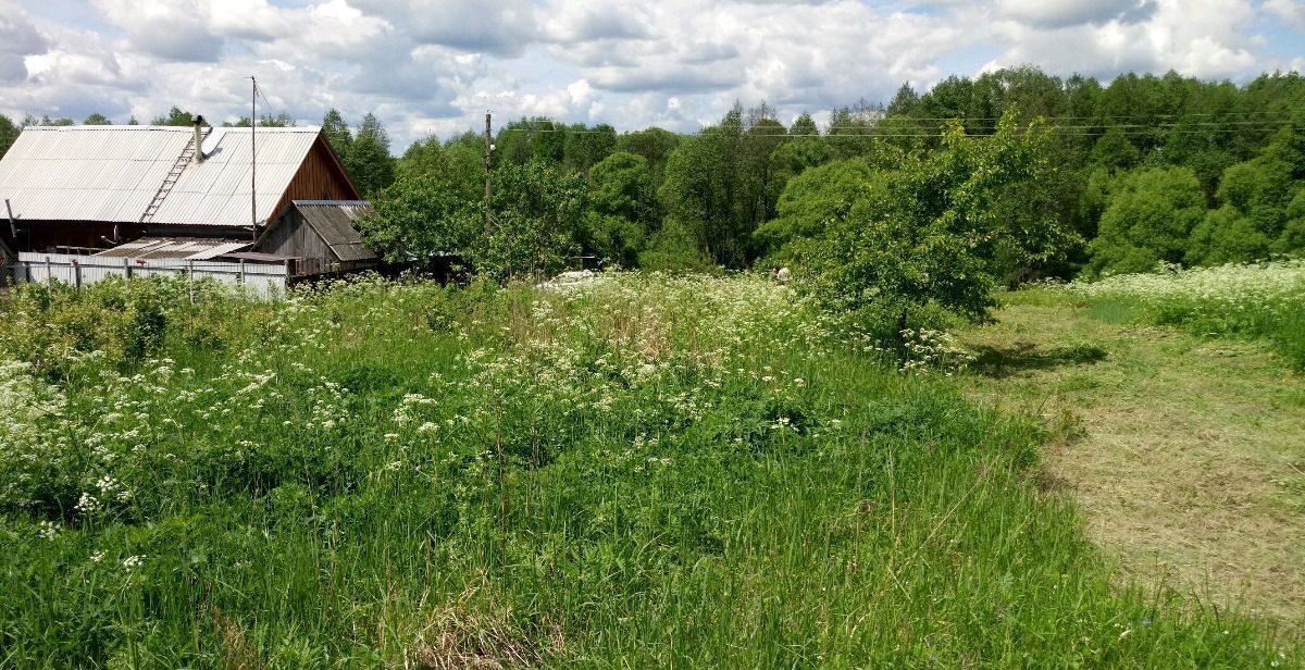 земля р-н Людиновский д Савино сельское поселение Село Заречный, Людиново фото 11