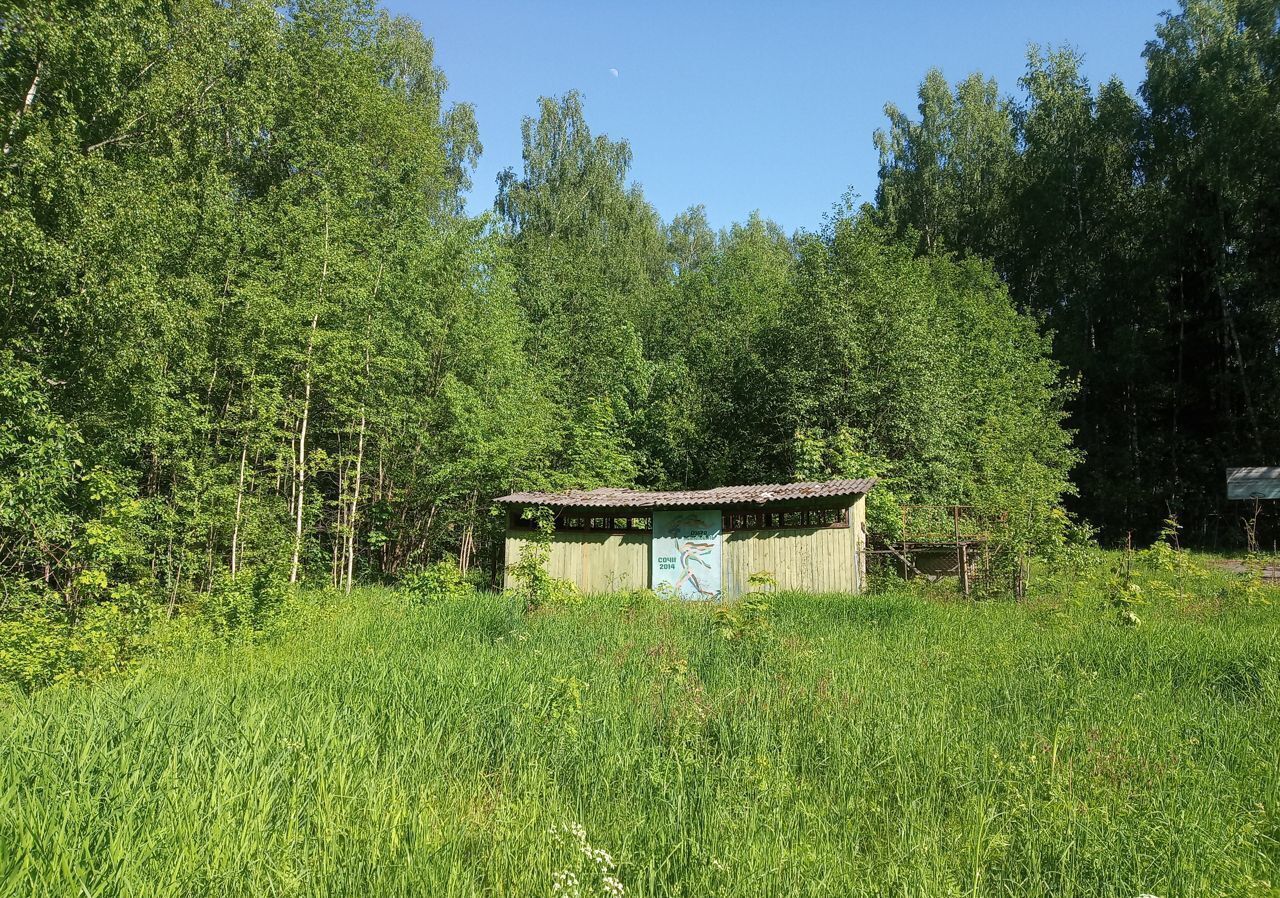 земля городской округ Богородский п Затишье Большое Буньково фото 12