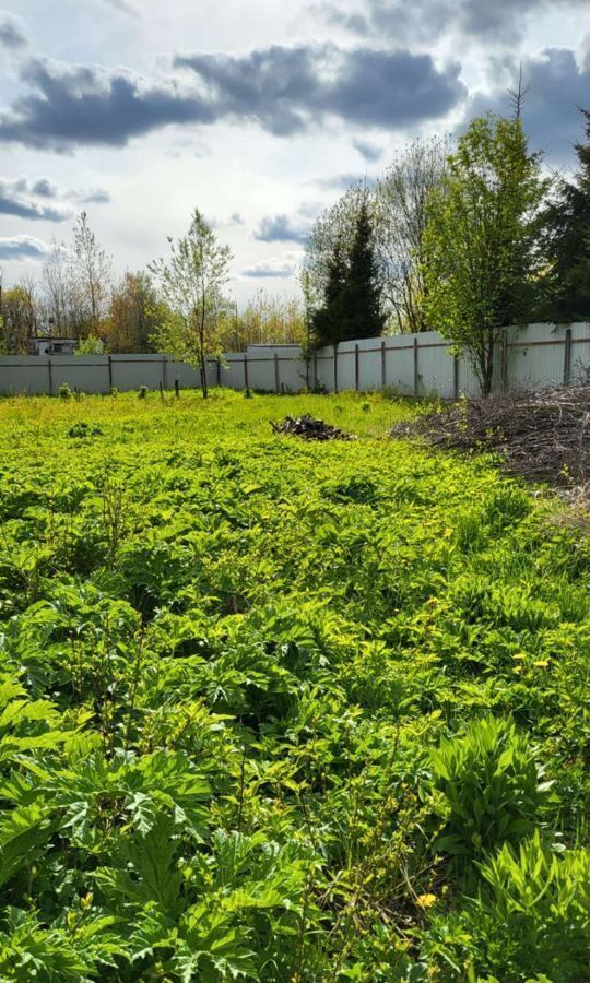 земля городской округ Солнечногорск дп Поварово 5, г. о. Солнечногорск, СНТ Учитель фото 5