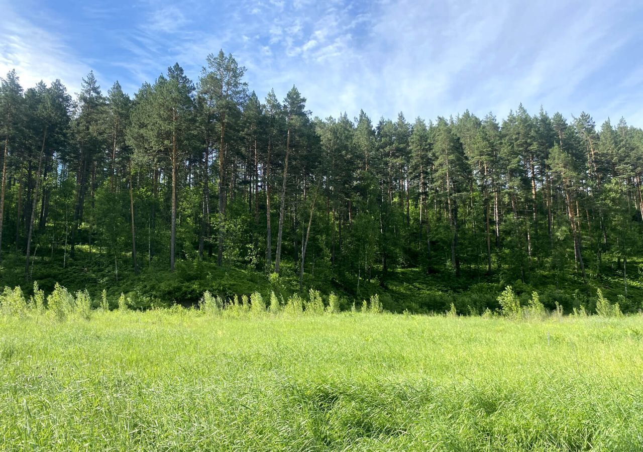 земля р-н Майминский с Манжерок ул Ленинская Горно-Алтайск фото 6