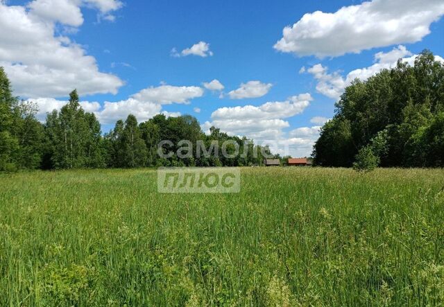 114 км, Венёвский р-н, муниципальное образование Мордвесское, Высокая ул., Кашира, Каширское шоссе фото