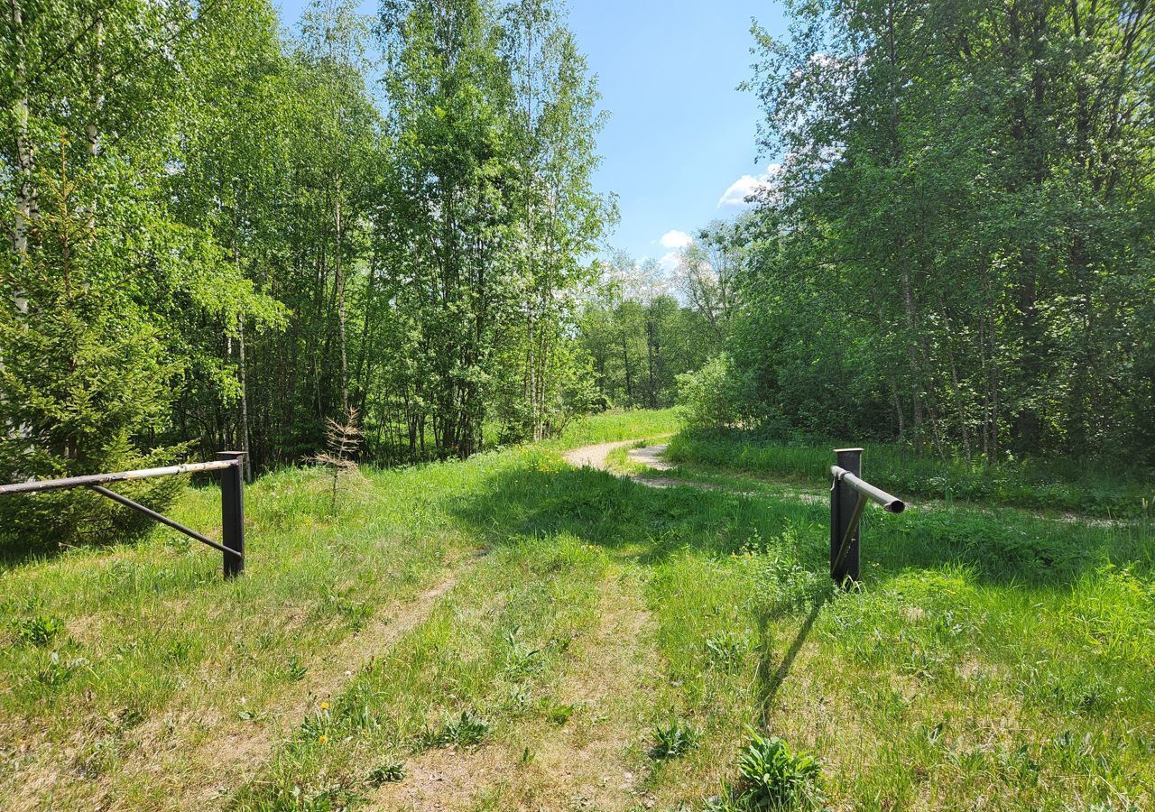 земля р-н Лужский п Толмачево Толмачёвское городское поселение фото 9