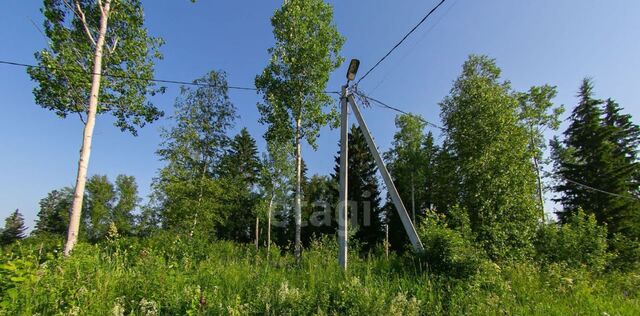 ул Малая Кольцевая фото