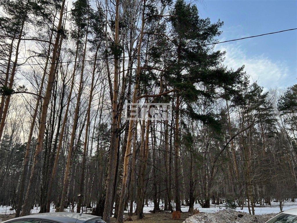 квартира г Москва ВАО Косино-Ухтомский ул Лухмановская 15/4 Московская область фото 8