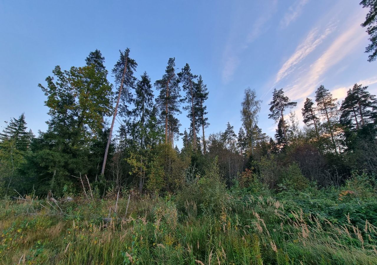 земля городской округ Богородский г Электроугли коттеджный пос. Традиции, Электроуглинская ул фото 38