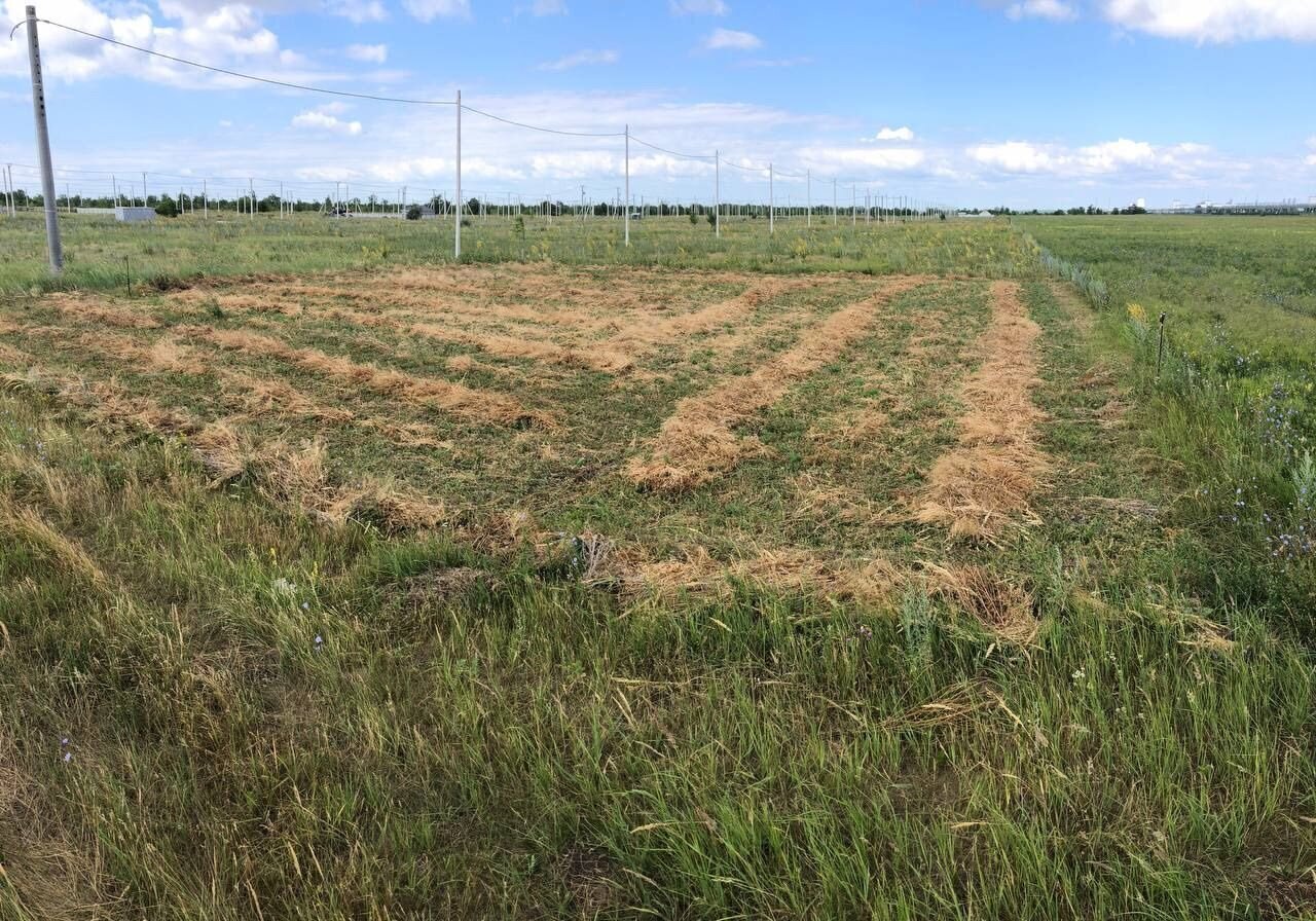 земля р-н Ставропольский с Подстепки ул Грибная 2 сельское поселение Подстепки, Тольятти фото 3