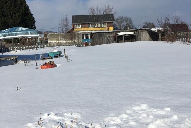 городской округ Томск, СНТ Бурундук фото