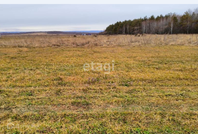 земля г Благовещенск ул Калинина городской округ Благовещенск фото 4