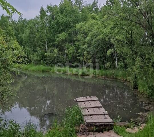 пл Ленина городской округ Благовещенск фото