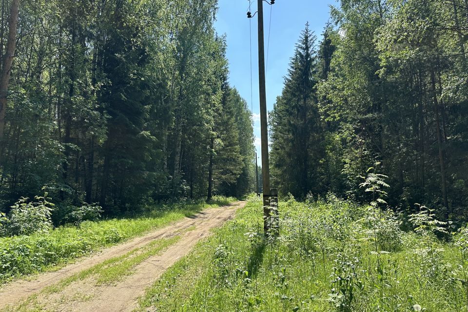 земля Добрянский городской округ, СНТ Ромашка фото 10