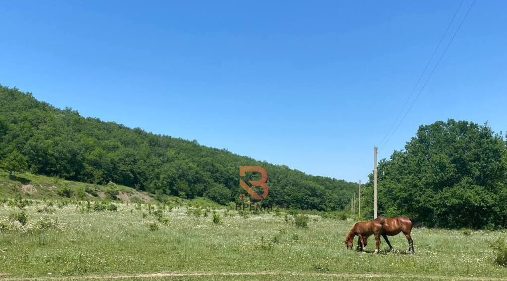 земля р-н Бахчисарайский с Новополье Голубинское с/пос фото 12