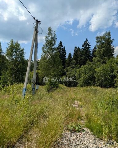 рп Менделеево садовое товарищество Кортис, г. о. Солнечногорск фото