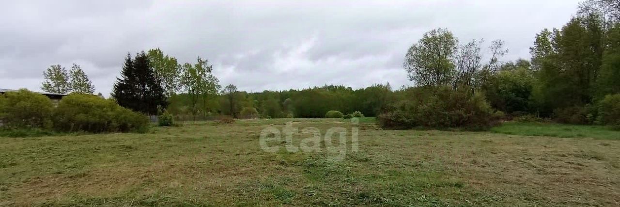 земля р-н Палкинский д Рыжково Новоуситовская волость фото 13