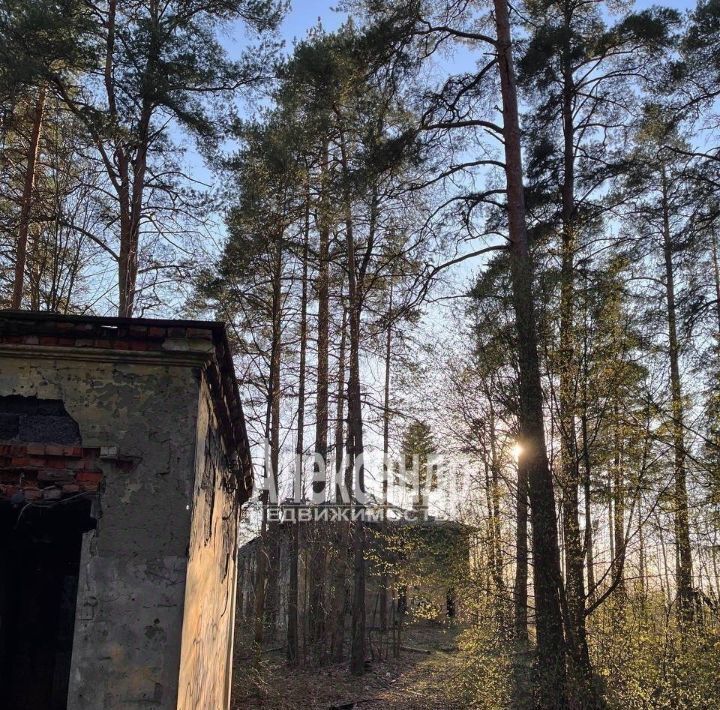 офис р-н Всеволожский г Всеволожск Ладожская фото 8