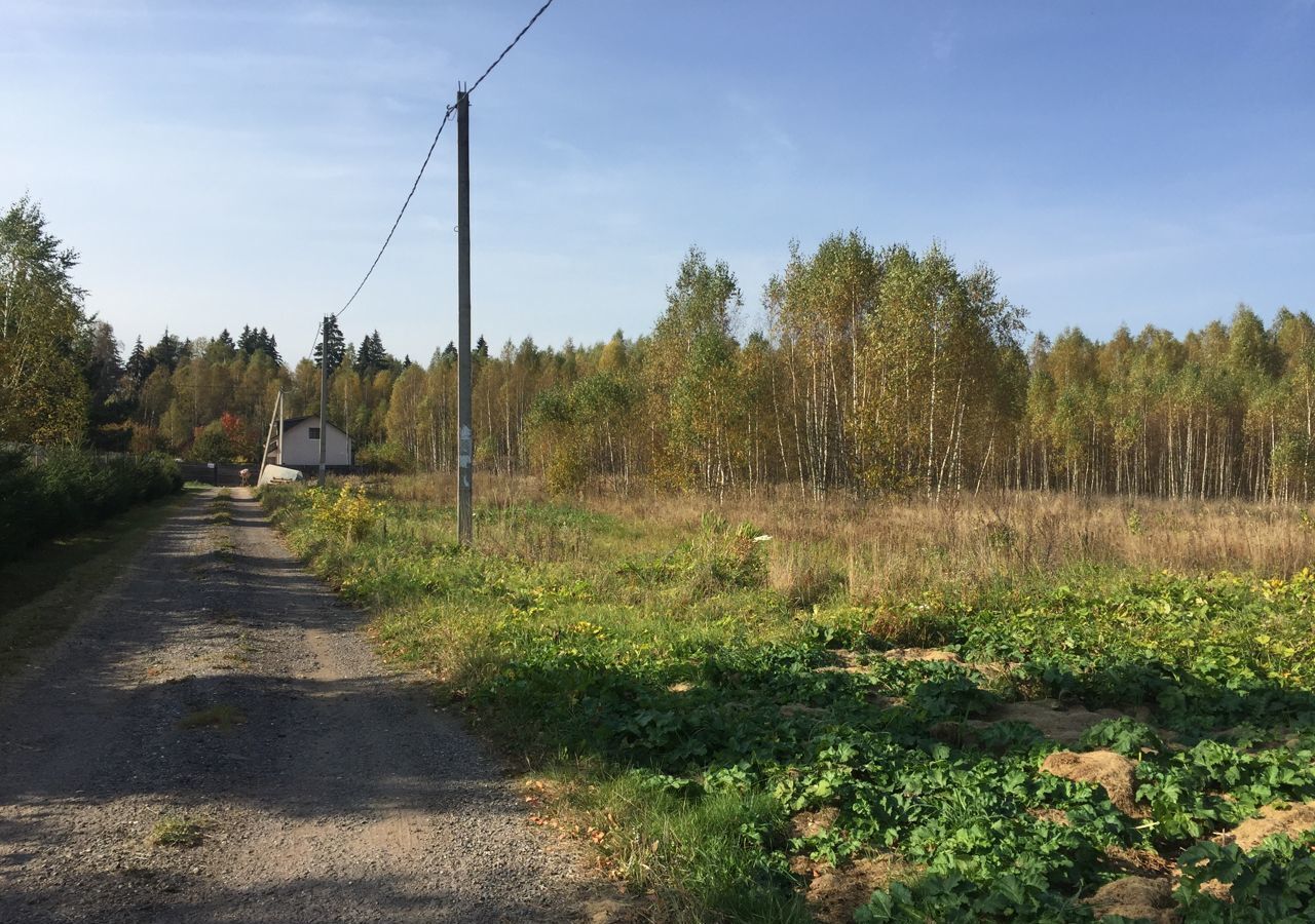 земля городской округ Рузский д Палашкино Руза фото 1