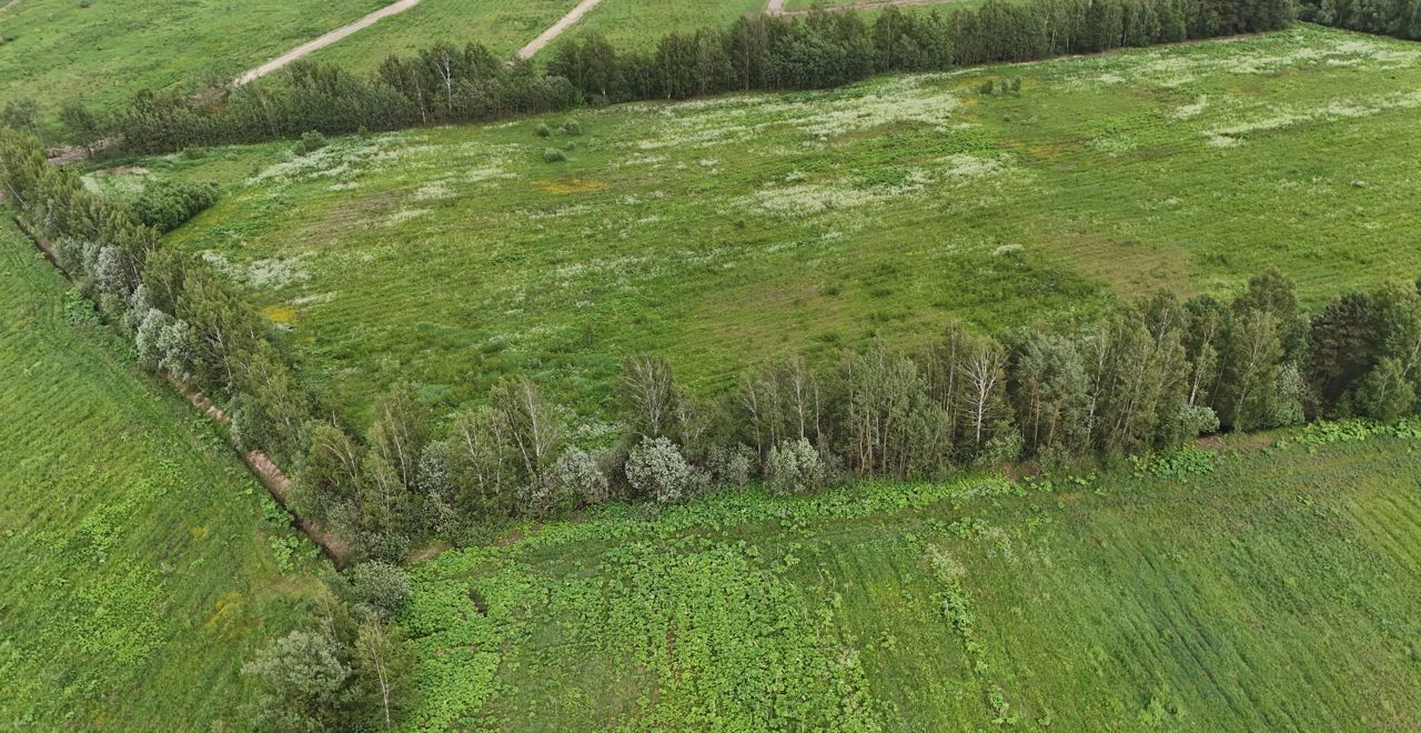 земля городской округ Раменский д Коняшино ул Центральная 70 Речицы фото 3