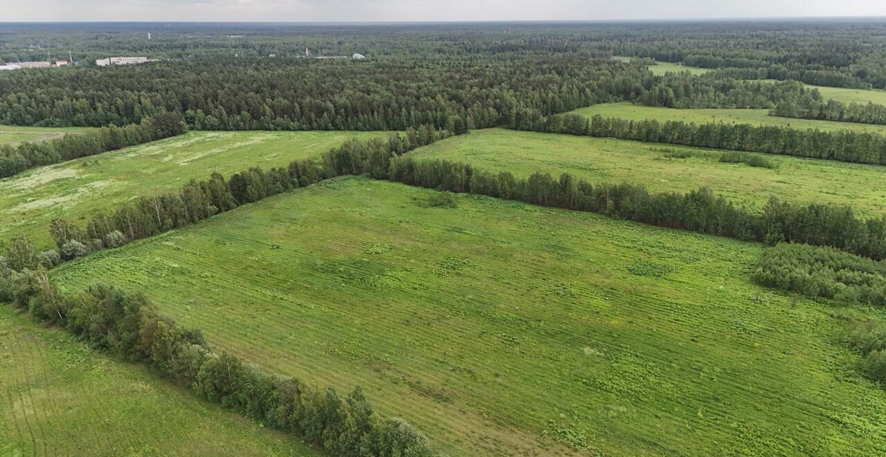 земля городской округ Раменский д Коняшино ул Центральная 70 Речицы фото 12