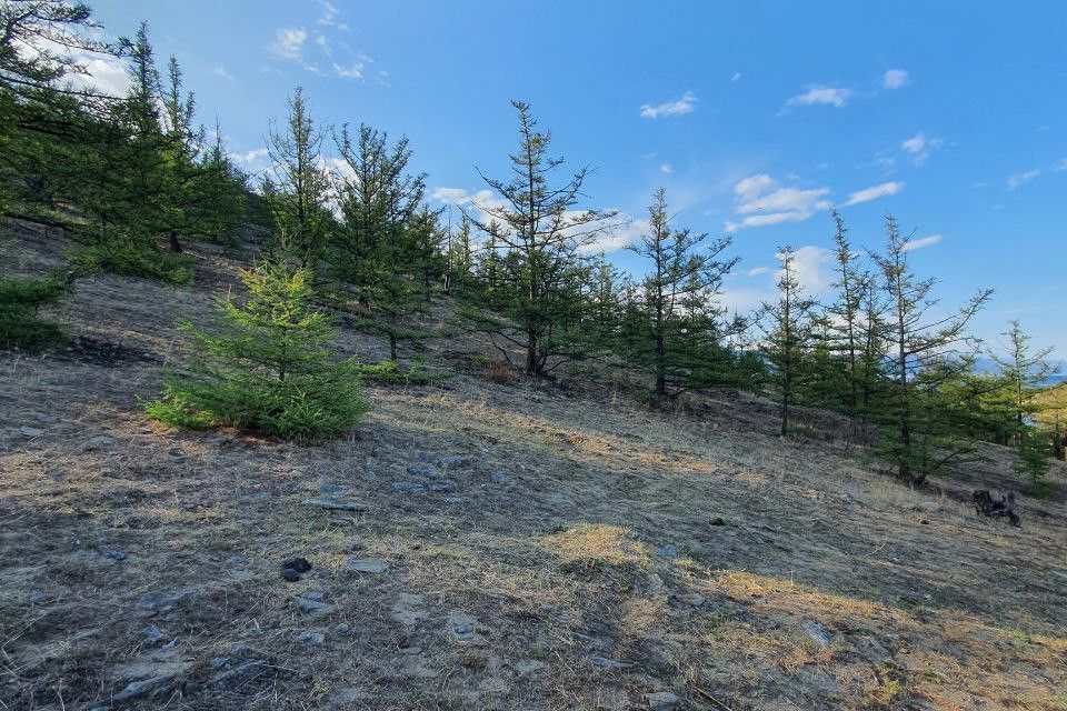 земля р-н Ольхонский местность Мандархан фото 10