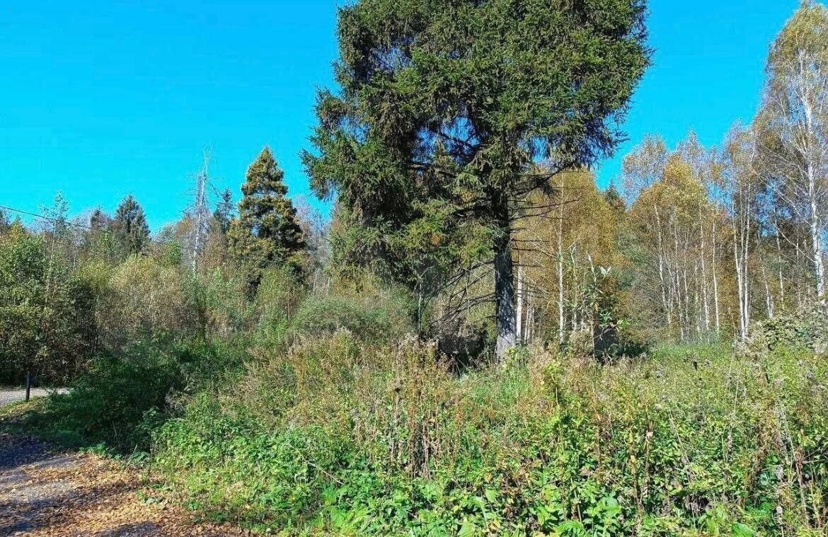 земля городской округ Солнечногорск п Жилино г. о. Химки, Менделеево фото 14