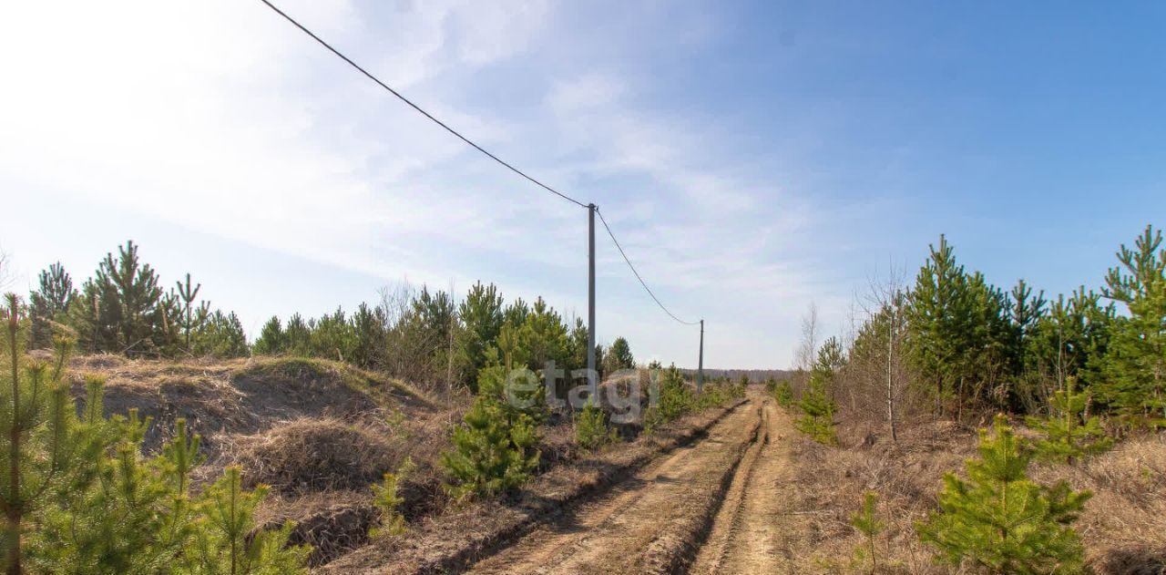 земля р-н Нижнетавдинский д Московка 3-я линия фото 9