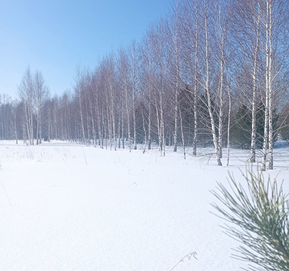 земля р-н Томский днп Солнечная поляна Томск фото 9