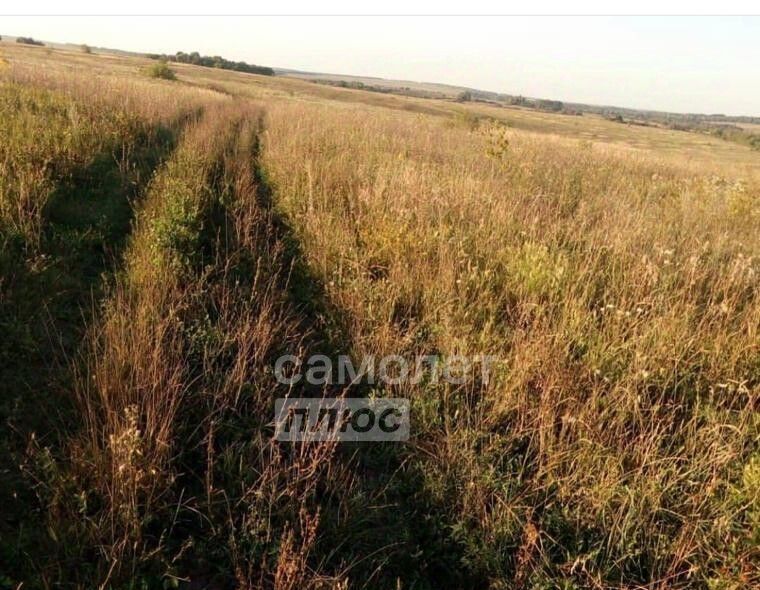 офис р-н Горшеченский д Бекетово Солдатский сельсовет фото 3