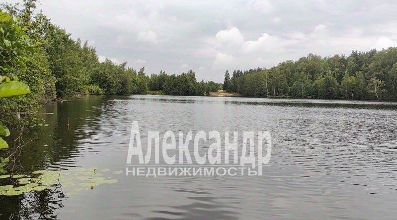 земля р-н Всеволожский д Озерки-1 Колтушское городское поселение, Улица Дыбенко фото 1