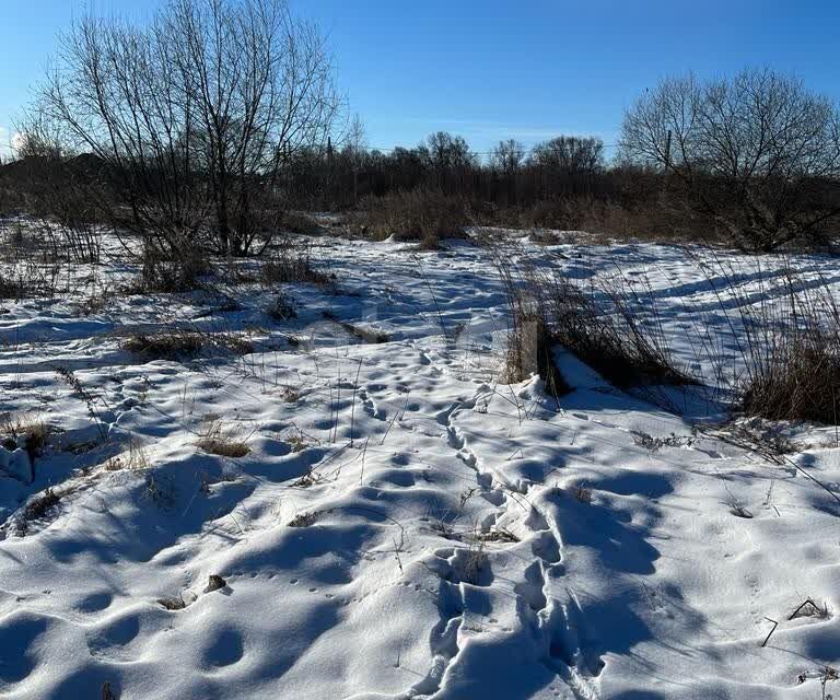 земля г Благовещенск ш Новотроицкое 8й километр, городской округ Благовещенск фото 6