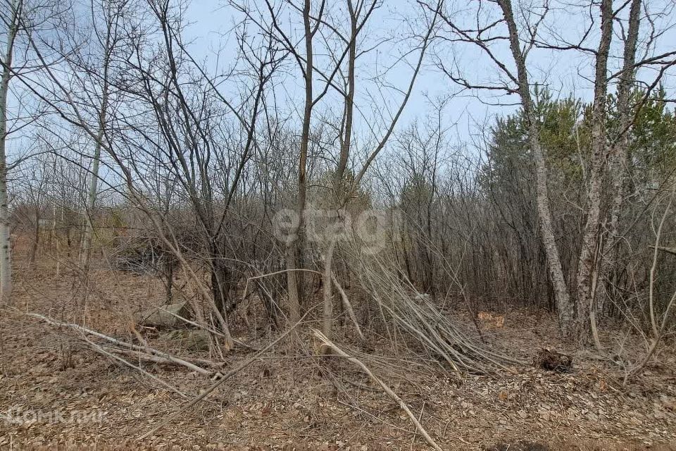 земля г Благовещенск ул Дальняя городской округ Благовещенск фото 9