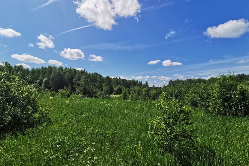 земля городской округ Дмитровский фото 8