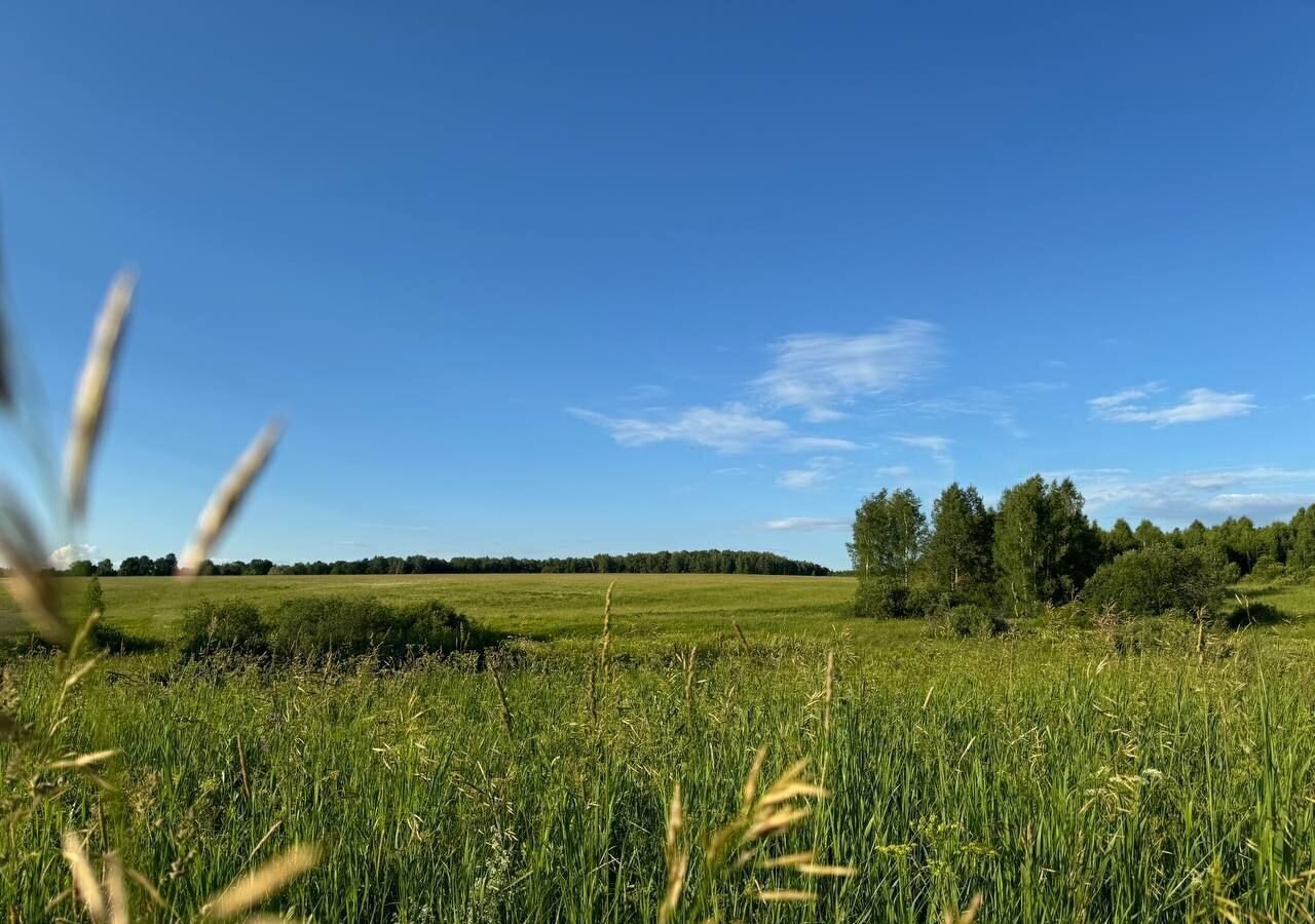 дом городской округ Коломенский д Коростыли Мещерино, г. о. Коломна фото 15