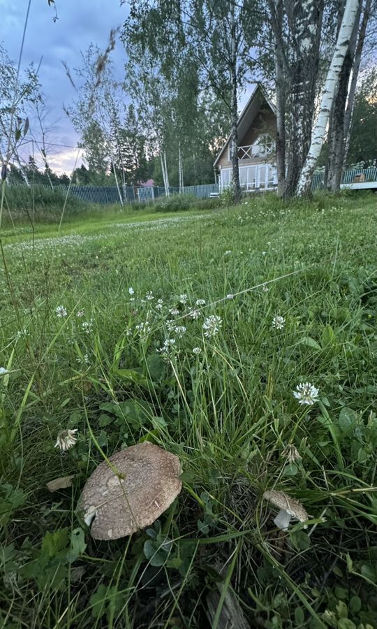 дом городской округ Рузский д Таблово пер Полевой 71 км, Руза, Минское шоссе фото 36