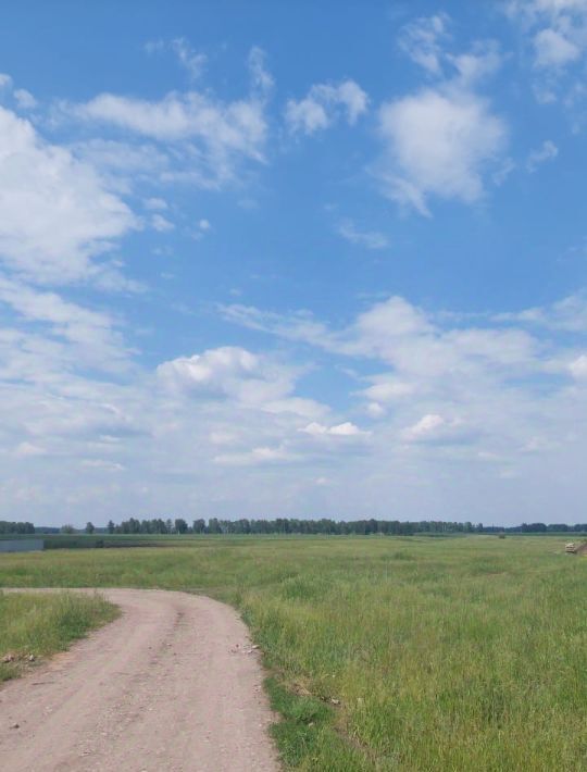 дом р-н Омский с Дружино мкр Александровская Усадьба ул Светлая фото 8