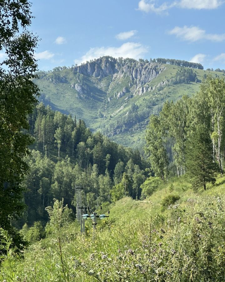 земля р-н Алтайский п Басаргино Алтайское фото 1