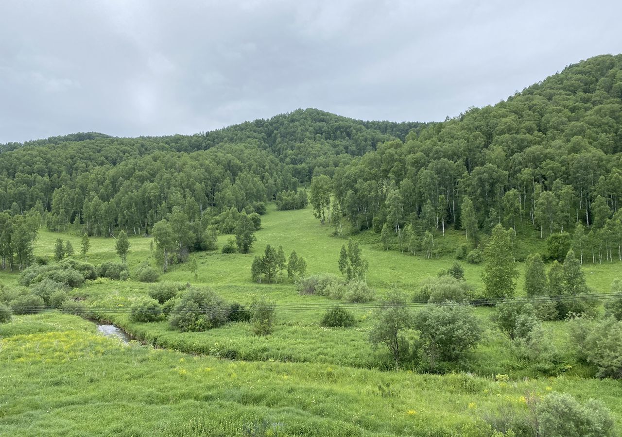 земля р-н Алтайский п Басаргино Алтайское фото 9