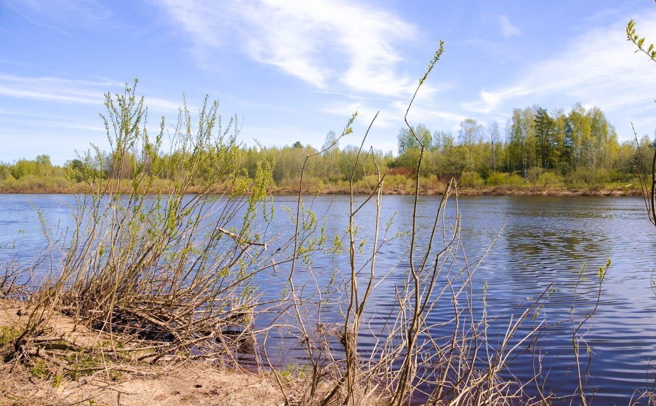 земля р-н Новгородский д Бараниха Савинское сельское поселение, Пролетарий фото 1