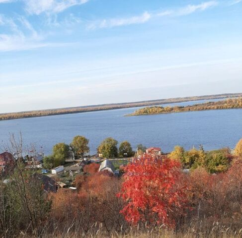 земля с Бармино ул Полевая фото