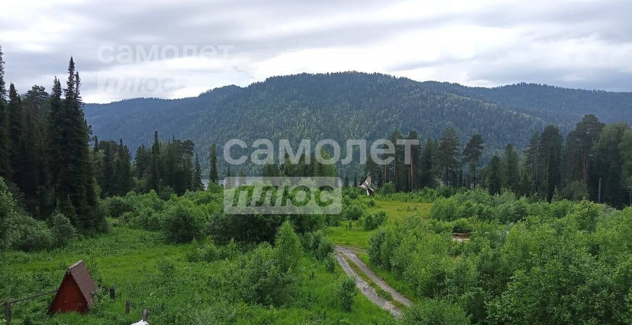 земля р-н Турочакский с Артыбаш Турочак фото 4