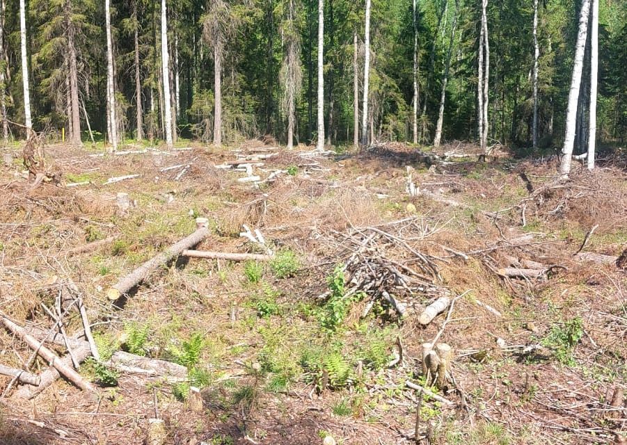 земля р-н Кондопожский Кондопожское городское поселение фото 1